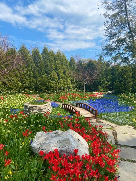 #garden #spring #michigan #grandhotel #mackinacisland #flowers #flowergardening #travel #unitedstatestravel Michigan Aesthetic, Michigan Landscape, Michigan Nature, Puzzle Ideas, Flower Posters, Fantasy Garden, Front Garden Design, Garden Spring, Portraiture Drawing