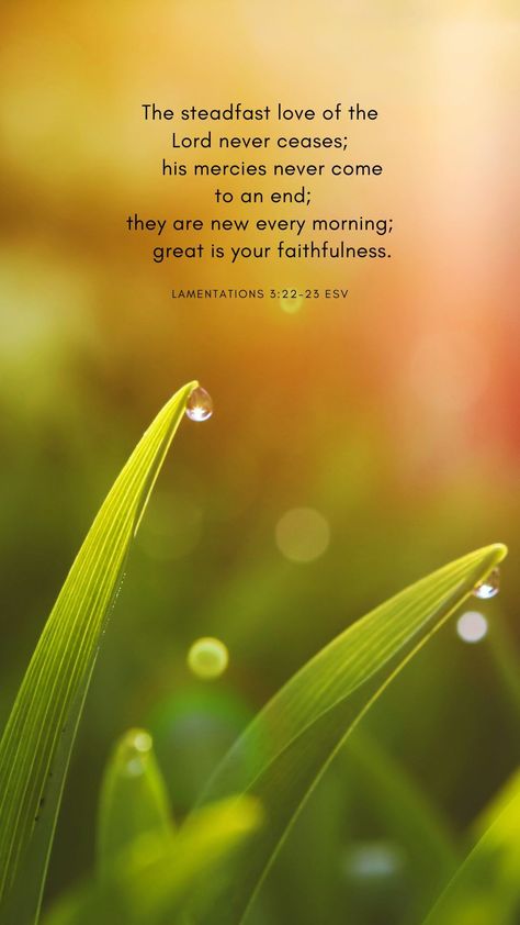 dew with Scripture, dew with Bible verse New Day Scripture, The Steadfast Love Of The Lord, Lamentations 3:23, His Mercies Are New Every Morning, Lamentations 3:22-23, Passion Conference, Intention Board, Steadfast Love Of The Lord, Morning Scripture