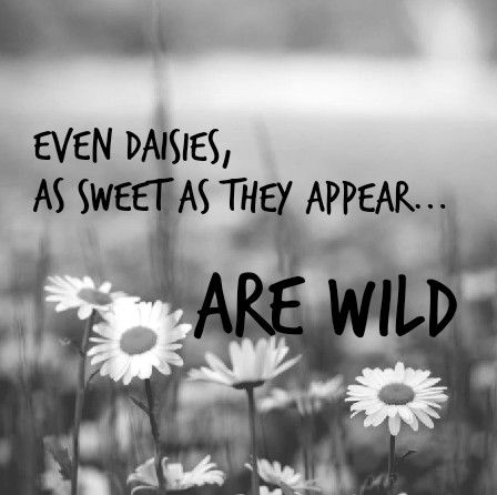 Wild As Her Quotes, Wild Daughter Quotes, Live Wild Quotes, Wanderlust Quotes Free Spirit, Finally Free Quotes, Wild Woman Quotes Free Spirit, Nature Quotes Adventure Wild And Free, Free Spirit Quotes Woman, Free Spirited Quotes