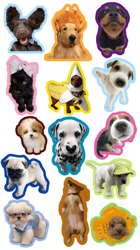 Dog Stickers, No Se, Magnets, Dogs