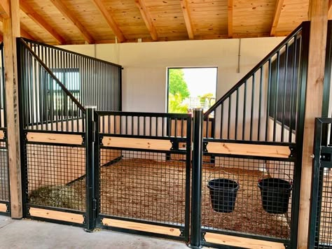 The Benefits of Mesh Stall Fronts in Your Horse Barn - STABLE STYLE Goat Stalls In Barn, Horse Stall Fronts, Horses Stables, Horse Farm Layout, Barn Organization, Luxury Horse Barns, Horse Stables Design, Dream Barn Stables, Stable Yard