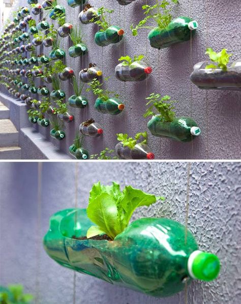 15 Creative Ways To Reuse Plastic Bottles Uses For Plastic Bottles, Empty Plastic Bottles, Reuse Plastic Bottles, Plastic Bottle Flowers, Plastic Recycling, Recycled Art Projects, Pet Plastic Bottles, Recycled Garden, Bottle Garden