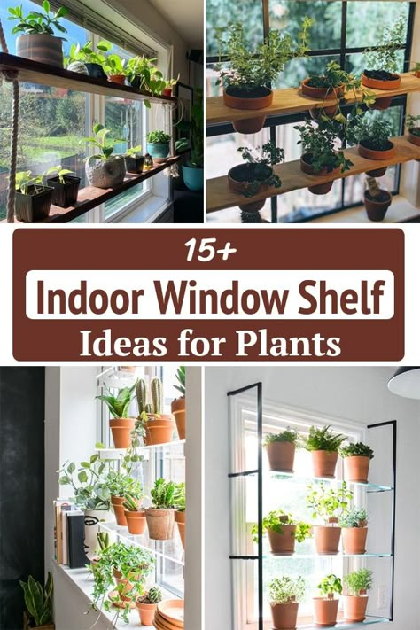 Window Ledge Plants Indoor, Window Hanging Plants Diy, Atrium Plants Ideas, Bay Window Ideas Living Room Plants, Window Seat Plant Ideas, Indoor Window Sill Planter Ideas, Plant Window Ledge, Plants As Window Treatments, Plant Stands For Windows