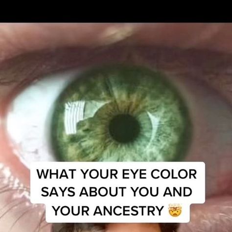 David Profit on Instagram: "What your eye color says about you and your ancestry!! Pt 4 GREEN EYES" Shades Of Green Eyes, Forest Green Eyes, Green Eyes Facts, Green Hazel Eyes, Natural Green Eyes, Grey Green Eyes, People With Green Eyes, Olive Green Eyes, Rare Eye Colors