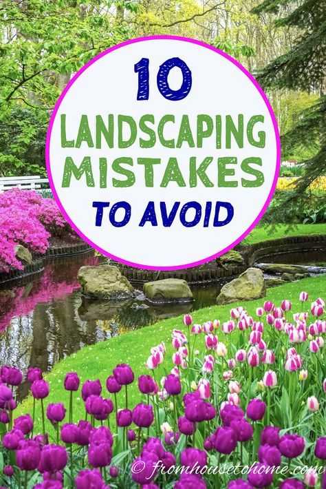 Avoiding these garden landscaping mistakes will really help my lawn and garden to be the best ever this year. Can't wait to update my garden design using these tips that will help create amazing gardens. #fromhousetohome #gardeningtips #gardening #gardenlandscaping #gardendesign #backyardlandscaping Beginners Landscaping, Garden Escape, Backyard Garden Landscape, Backyard Landscaping Plans, Garden Wallpaper, Easy Landscaping, Wildflower Garden, Landscape Plans, Home Landscaping