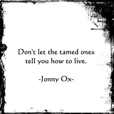 "Don't let the tamed ones tell you how to live." ~ Jonny Ox Wanderlust Quotes, Free Spirit Quotes, Spirit Quotes, Enjoy The Ride, Bohol, Super Ideas, Wild Hearts, A Quote, Note To Self