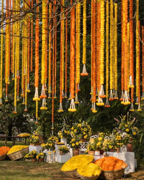 The Petite Project on Instagram: "Painting the town yellow, one ritual at a time :p   बहार//Spring Dhruv + Pippa Karjat  Design, Decor and Flowers @thepetiteproject_  Design Assistance @shanijshabu @_tulsidetroja_  Production @allattractiveevents  📸 @shwetarane.in   #bahaar #haldiceremony #haldidecor #haldiphotography #traditionaltwist #celebratinghaldi #yellowhues #haldi #spring #marigold #floristsofinstagram #floristtip #artist #floralart #flowerinstallation" Haldi Decor Inspiration, Marigold Haldi Decor, Mehendi Home Decoration, Spring Decor Wedding, Genda Flower Decoration, Mayun Decoration, Haldi And Mehendi Decoration, Indian Wedding Flower Decoration, Pithi Decoration