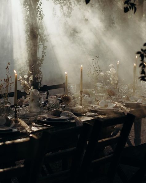 MemoryBox Photography Gothic Wedding Aesthetic, Gothic Dinner Party, Jungle Luxury, Gothic Dinner, Luxury Instagram, Narrative Photography, Goth Wedding, The Lane, Editorial Wedding