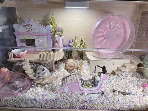 Kawaii Hamster Cage, Pink Rat Cage, Hamster Cage Aesthetic, Hamster Pet, Fancy Mouse Cage Ideas, Themed Hamster Cages, Hamster Home Ideas, Hamster Tank Ideas, Teddy Bear Hamster Cage Ideas