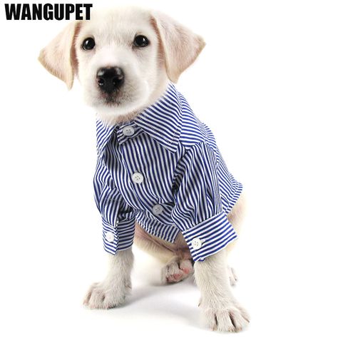 Smarter Shopping, Better Living! Aliexpress.com Casual Striped Shirt, Pet Shirts, Dog Items, Looking Dapper, Dog Clothing, Pet Fashion, Dog Dresses, Casual Stripes, Animal Fashion