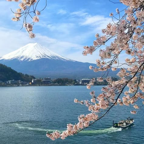 Japanese Places Aesthetic, Japan Aesthetic Pictures, Japan Nature, Japan Core, Japan Cherry Blossom, Japanese Mountains, Photography Bucket List, Travel Airplane, Toro Inoue