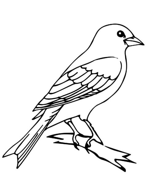 Mockingbird Drawing Easy, Bird Outline, Bird Coloring, Canary Birds, Tree Coloring Page, Bird Coloring Pages, Online Coloring Pages, Funny Birds, Tree Drawing