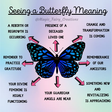 Butterflies With Meaning, Seeing A Butterfly Meaning, What Does A Butterfly Symbolize, Seeing Butterflies Meaning, Butterfly Witchcraft, Butterfly Meaning Spiritual, Blue Butterfly Meaning, Butterfly Spiritual Meaning, Magical Butterflies