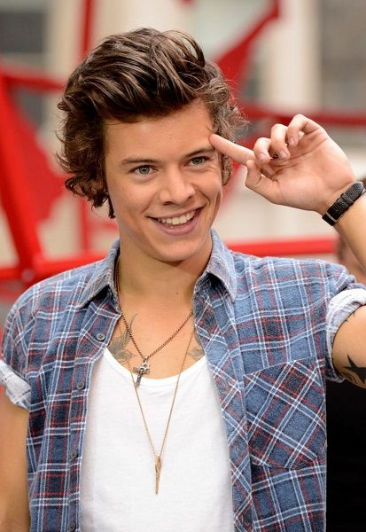 Harry Styls, Harry Styles 2013, One Direction Louis, Hottest Male Celebrities, Haikou, Frat Boy, One Direction Harry, Harry Styles Photos, Mr Style