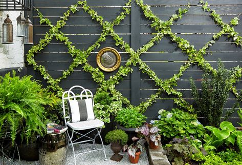 womansday Vine Trellis, Yard Ideas Backyard, Diy Garden Trellis, Diy Trellis, Garden Vines, Decor Ikea, Trellis Plants, Ideas For Garden, Walled Garden