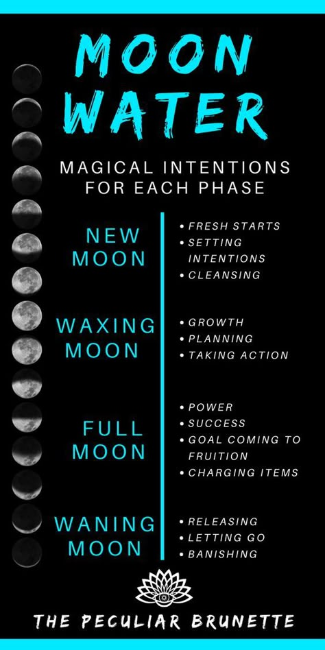 Make Moon Water, Moon Spells, Magia Das Ervas, Moon Magick, Moon Rituals, New Moon Rituals, Moon Water, Wiccan Magic, Full Moon Ritual