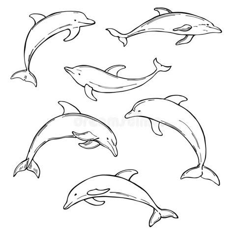 Dolphin Sketch Easy, Dolphin Sketch Tattoo, Cute Drawings White Background, Dolphin Swimming Drawing, Dolphin Drawing Reference, Vintage Dolphin Illustration, Drawings Of Ocean Animals, Dolphin Aesthetic Drawing, Dolphin Line Drawing