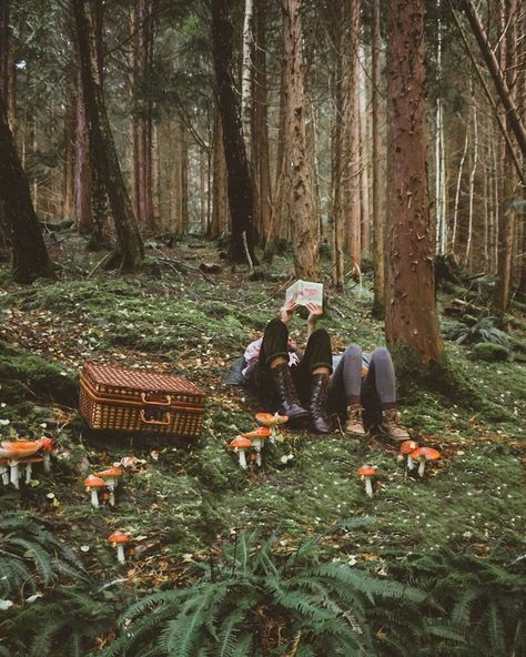 Earthy Mushroom Aesthetic, Mushroom Aestethic, Mushroom Hunting Aesthetic, Mushroom Foraging Aesthetic, Mushroom Forest Aesthetic, Mushroom Core Aesthetic, Cottagecore Mushroom Aesthetic, Forest With Mushrooms, Mushrooms Aesthetic