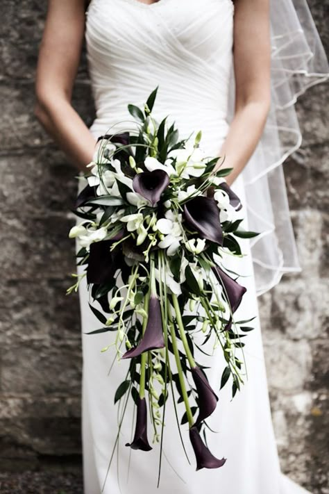 How gorgeous is this elegant shades of purple calla lilies + orchids cascading wedding bouquet?! Non Traditional Wedding Bouquet, Unusual Wedding Bouquets, White Dendrobium Orchids, Black Calla Lily, Holding A Bouquet Of Flowers, Unique Bridal Bouquets, Calla Lily Bouquet Wedding, Halloween Weddings, Purple Calla Lilies