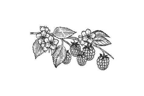 Back Of Arm Nature Tattoo, Bramble Drawing, Raspberry Tattoo Design, Raspberry Bush Tattoo, Raspberry Branch Tattoo, Unique Nature Tattoos, Raspberry Branch, Woodland Tattoo, Raspberry Tattoo