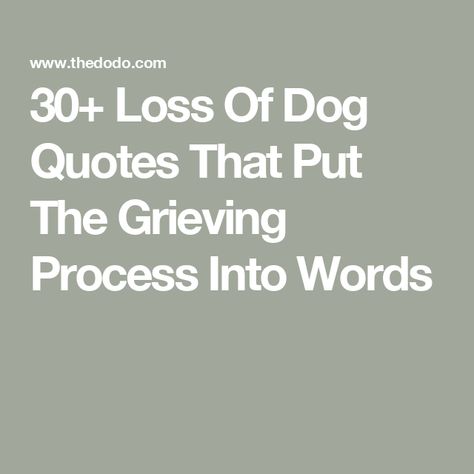 30+ Loss Of Dog Quotes That Put The Grieving Process Into Words Losing My Best Friend Dog, Jack Russell Quotes, Lost My Dog Quotes, Pet Goodbye Quotes, In Memory Of My Dog Quotes, Dog Dies Sympathy Pet Loss, New Dog After Losing One Quote, Dog Remembrance Quotes, Dog Bereavement Quotes