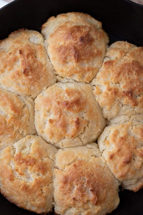 The Best Sourdough Discard Drop Biscuits Recipe - Lifestyle of a Foodie No Wait Sourdough Biscuits, Buttery Sourdough Biscuits, Sourdough Discard Biscuits Recipes, Sour Dough Discard Drop Biscuits, Sourdough Flaky Biscuits, Sourdough Starter Biscuits Recipe, Same Day Sourdough Biscuits, Sourdough Biscuits Dairy Free, Sourdough Discard Recipes Biscuits