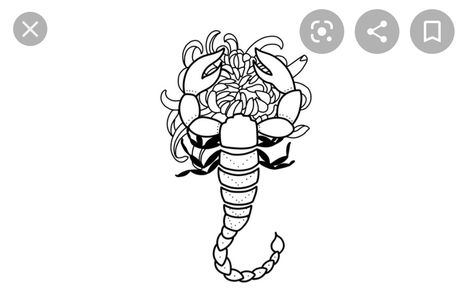 Scorpio And Chrysanthemum Tattoo, Scorpion Chrysanthemum Tattoo, Scorpio Chrysanthemum Tattoo, Chrysanthemum Scorpio Tattoo, Chrysanthemum Tattoo, Scorpio Tattoo, Chrysanthemum, Scorpion, Tatting