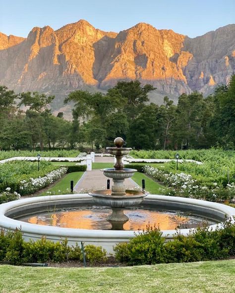 MolenVliet Vineyards on Instagram: “Molenvliet + Golden hour = 🤩😍⠀⠀⠀⠀⠀⠀⠀⠀⠀ Simply Heaven on Earth! ⠀⠀⠀⠀⠀⠀⠀⠀⠀ ⠀⠀⠀⠀⠀��⠀⠀⠀⠀ #Stellenbosch #Drakenstein #StellenboschTravel…” Molenvliet Wedding, Stellenbosch Wedding, South Africa Wedding, Cape Town City, Africa Wedding, 5 Year Plan, Afternoon Wedding, Airy Wedding, Late Afternoon