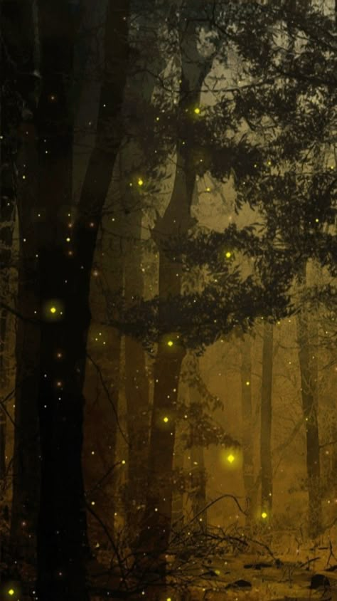 Firefly Background, Forests At Night, Fireflies In The Forest, Fireflies Wallpaper, Wallpaper Lightning, Firefly Photography, Firefly Painting, Firefly Forest, Firefly Lane