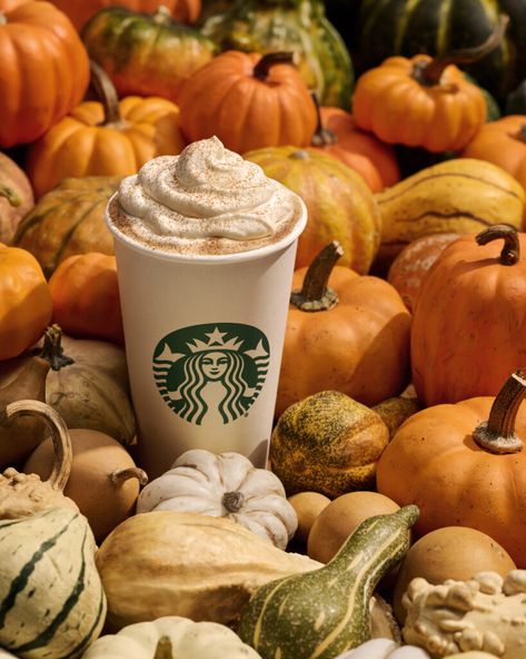 Starbucks Seasonal Drinks, Butter Squash Recipe, Butter Squash, Fall Appetizers Easy, Starbucks Coffee Cups, Starbucks Fall Drinks, Fall Starbucks, Best Starbucks Drinks, Café Starbucks