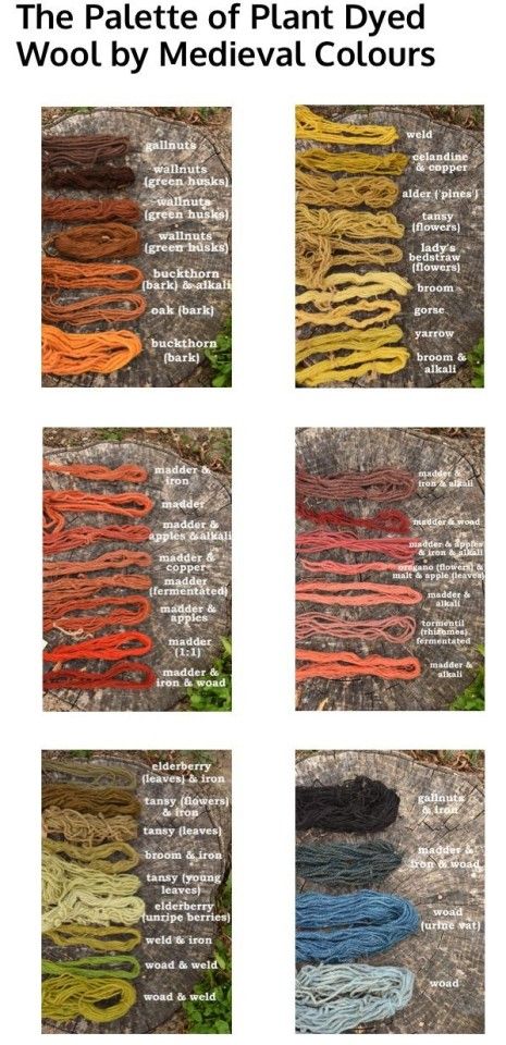 Natural Dye Fabric, Colorful Clothes, Dye Colors, Have Inspiration, Plant Dyes, Nature Crafts, Art Tips, Writing Inspiration, Bushcraft