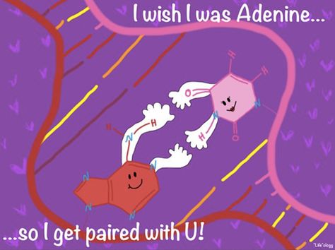 Biochemistry love Biology Valentines, Medische Humor, Biology Jokes, Biology Memes, Science Valentines, Biology Humor, Nerdy Jokes, Nerdy Humor, Nerd Jokes