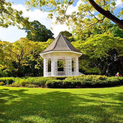 Singapore Botanic Gardens Singapore Tourist Attractions, Singapore Attractions, Singapore Things To Do, Tropical Colonial, Singapore Botanic Gardens, Singapore Hotels, Botanic Gardens, Brussels Belgium, Building Structure