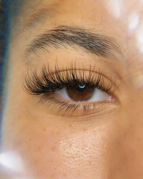 Classic Eyelash Extensions, Natural Fake Eyelashes, Eye Ideas, Lash Extentions, Lashes Fake Eyelashes, Wispy Eyelashes, Eyelash Extensions Styles, Perfect Eyelashes, Lash Extensions Styles