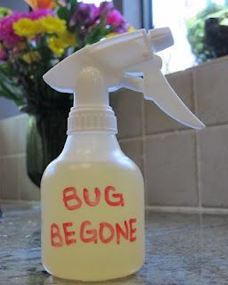 delicious wife: bug be gone: homemade all-natural and non-toxic bug spray! Shake Bottle, Bug Repellent, Bug Spray, Bug Bites, Cleaning Spray, Cleaners Homemade, Homemade Remedies, Witch Hazel, Back To Nature