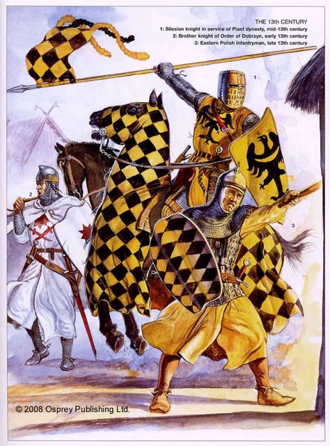 Polish Soldiers 13th Century Military Illustration, Century Armor, Warriors Illustration, Crusader Knight, High Middle Ages, Historical Warriors, Medieval Paintings, Medieval Ages, Ancient Warfare