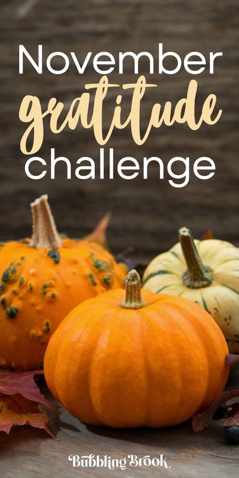 November Bible Challenge, Grateful Challenge 30 Day, November Grateful Challenge, 30 Days Of Gratitude Challenge, November Challenge 30 Day, Gratitude Challenge 30 Day, November Thankful Challenge, November Gratitude Challenge, Thankful Challenge