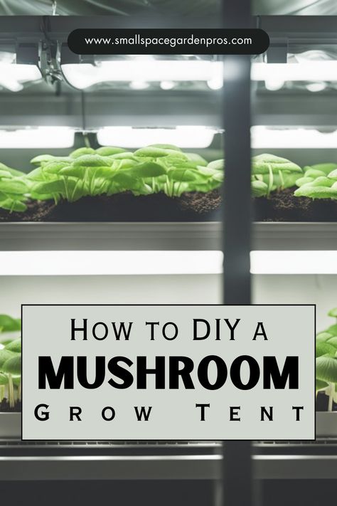 Unlock the world of home mushroom cultivation with our DIY Mushroom Grow Tent guide! Whether you're a seasoned mycophile or a beginner enthusiast, this step-by-step tutorial will show you how to create your own grow tent for cultivating delicious fungi right in your home. From selecting the right materials to setting up the perfect growing environment, we've got you covered every step of the way. #MushroomGrow #DIYGardening #GrowTentTips #MushroomCultivation #HomegrownMushrooms #UrbanGardening Mushroom Grow Tent, Mushroom Grow Box Diy, Grow Mushrooms From Scraps, How To Grow Mushrooms At Home, Shroom Growing, Diy Mushroom Growing, Mushroom Grow Room, Mushroom Greenhouse, Mushroom Growing At Home