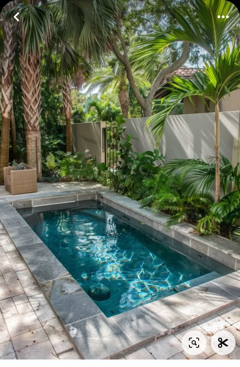 Small Garden Pool Design, Small Narrow Pool Ideas, Small Garden Design With Pool, Small Pools For Small Yards Modern, Narrow Pool Small Yards, Mediterranean Pool Ideas, Small Pools For Small Yards, Pool Designs For Small Yards, Pool Garden Design