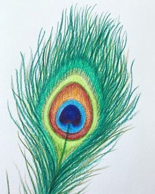 Peacock Drawing With Colour, Leaf Drawing Easy, Peacock Feather Drawing, Pencil Colour Painting, Drawing Birds, Peacock Drawing, Feather Drawing, Dibujo Simple, Peacock Wall Art