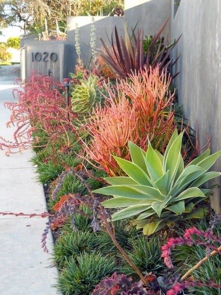 Top 70 Best Desert Landscaping Ideas - Drought Tolerant Plants Drought Tolerant Landscape Front Yard, Xeriscape Landscaping, Succulent Landscape Design, Drought Tolerant Garden, Succulent Garden Design, Drought Tolerant Landscape, Succulent Landscaping, Rock Garden Landscaping, Desert Garden