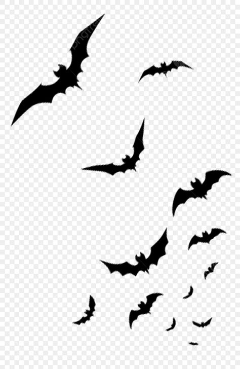 Halloween Png Images, Bats Clipart, Bats Silhouette, Bats Tattoo, Filler Images, Haunted House Clipart, Bats Tattoo Design, Png Material, Bat Vector