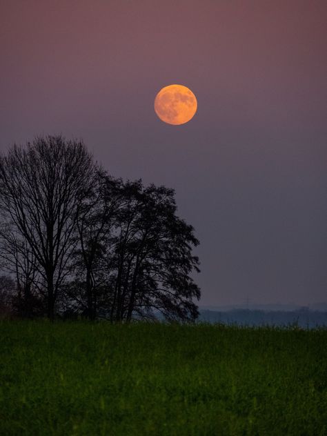 Moonrise Aesthetic, Rise Aesthetic, Moon Book, Sunset Rose, Watercolour Landscape, Beautiful Nature Wallpaper Hd, Moon Rising, Moon Rise, Beautiful Moon