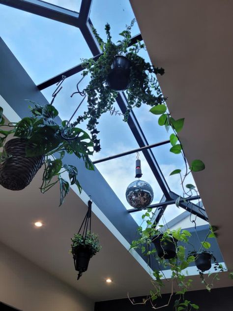 Look at what one of our customers has done with their lantern! Utilising the light the lantern brings in, by hanging plants underneath🪴☀️  #lanternroof #rooflights #plants #hangingplantsindoor #skylight #skylightdesigns #homerenovation Sky Lights, Lantern Hanging, Plant Kitchen, Plant Hanging, Roof Lantern, Sky Lanterns, Hanging Plants Indoor, The Lantern, Ceiling Hanging