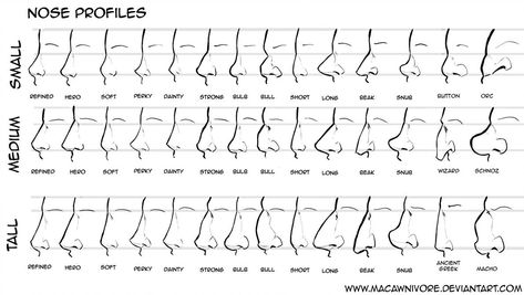 Nose Chart Reference by macawnivore on DeviantArt Nose References, Different Nose Shapes, Nose Types, Shape Chart, Lip Tutorial, Nose Drawing, Nose Shapes, Healthy Detox, Art Help