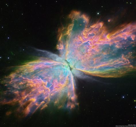 Butterfly Nebula Wallpaper, Butterfly Nebula, Telescope Pictures, Universe Drawing, Planetary Nebula, Nebula Wallpaper, Astronomy Pictures, Hubble Images, Hubble Telescope