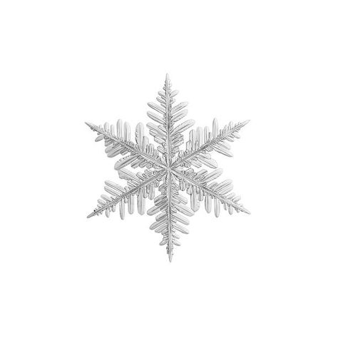 Winter Pngs Aesthetic, Aesthetic Pictures Png, Snowflake Png Aesthetic, Christmas Items Png, Cute Icons Christmas, Christmas Widgets White Background, Png Christmas Images, Christmas Phone Decor, Winter Png Aesthetic