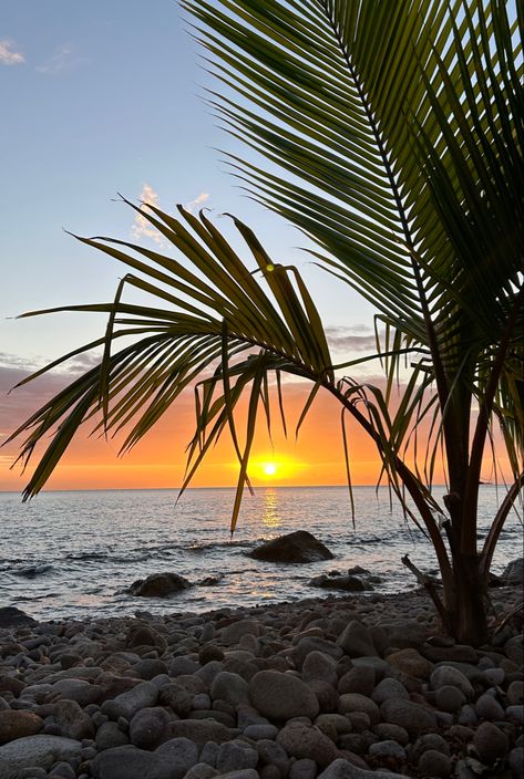 Dominica Aesthetic, Champagne Beach, Friends Aesthetics, Summer Board, Travel America, America Travel, Dominican Republic, Dream Life, Vision Board