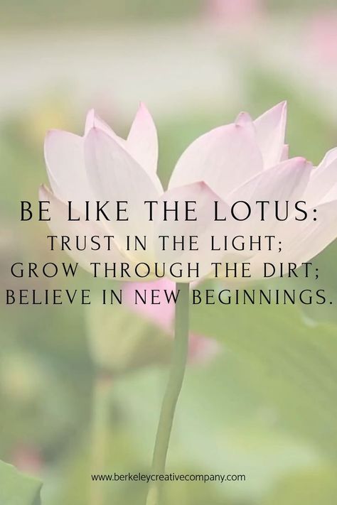 New Beginning Quotes Life, New Beginning Quotes Fresh Start, Find Inner Peace, Inner Peace Quotes, New Beginning Quotes, Finding Inner Peace, Peace Quotes, Morning Inspirational Quotes, The Lotus