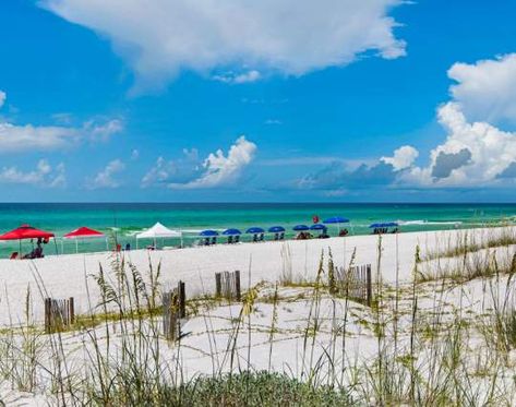 Washington State Forest, Grayton Beach State Park, Santa Rosa Beach Florida, 30a Beach, Panama City Beach Fl, Luxury Beach House, Florida Photography, Family Vacation Destinations, I Love The Beach